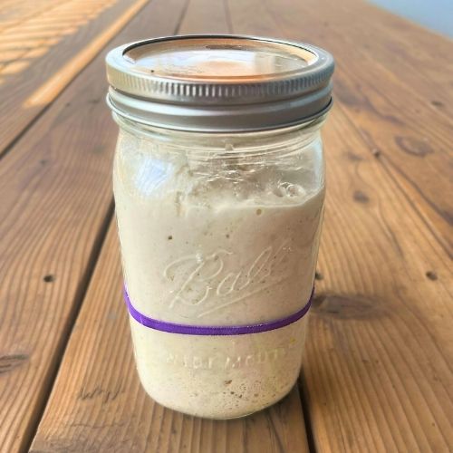 active sourdough starter in a Ball canning jar