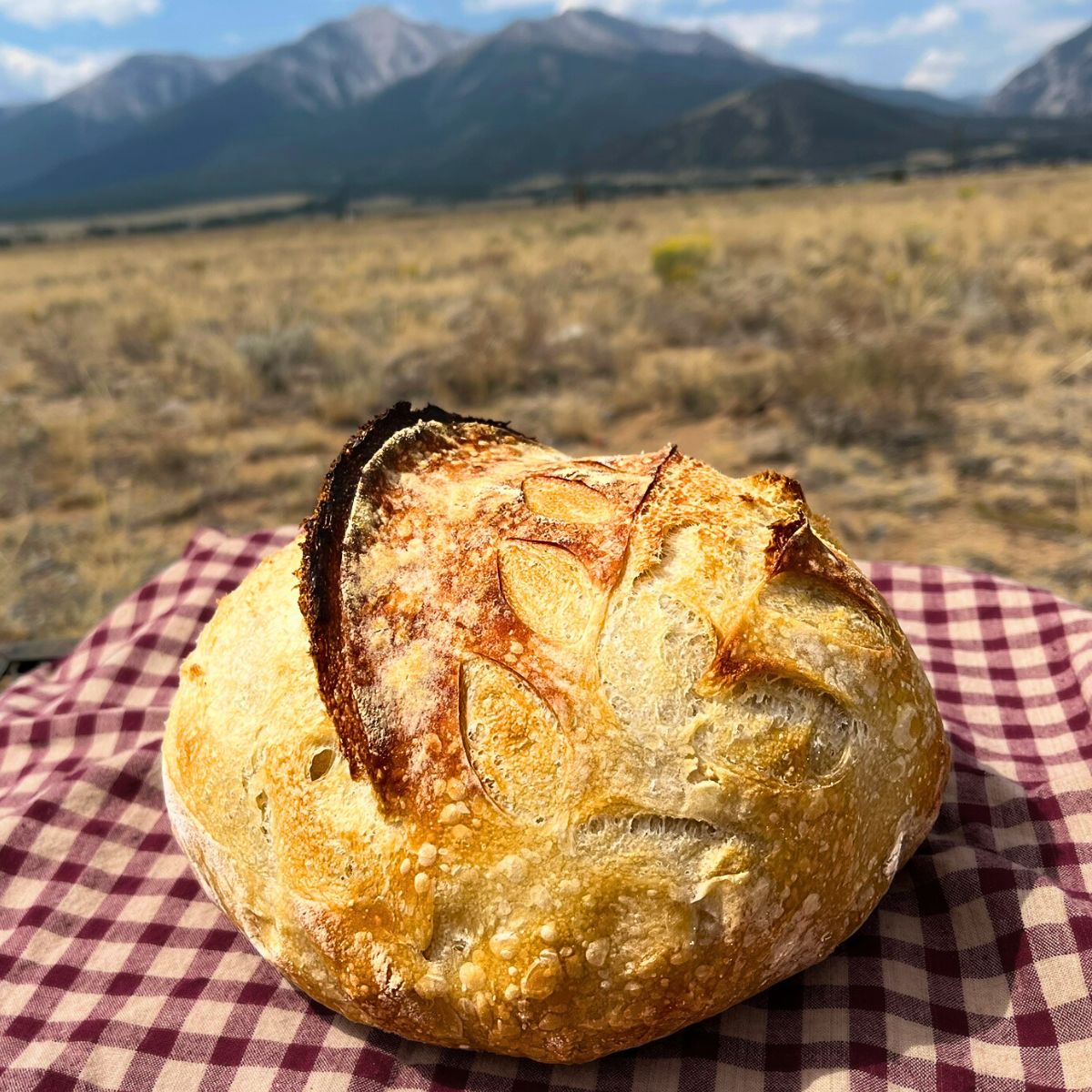 high altitude sourdough bread