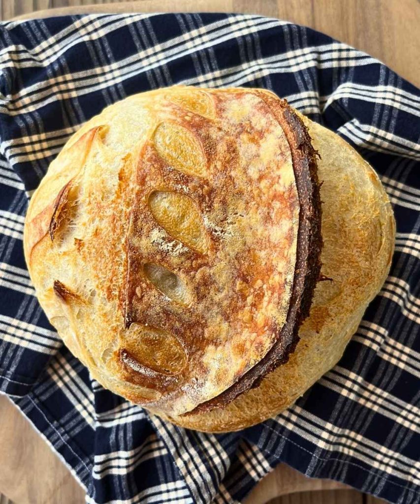 a loaf of high altitude sourdough bread baked to deep golden perfection