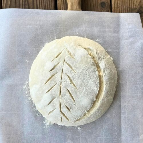 fermented sourdough bread dough with scores