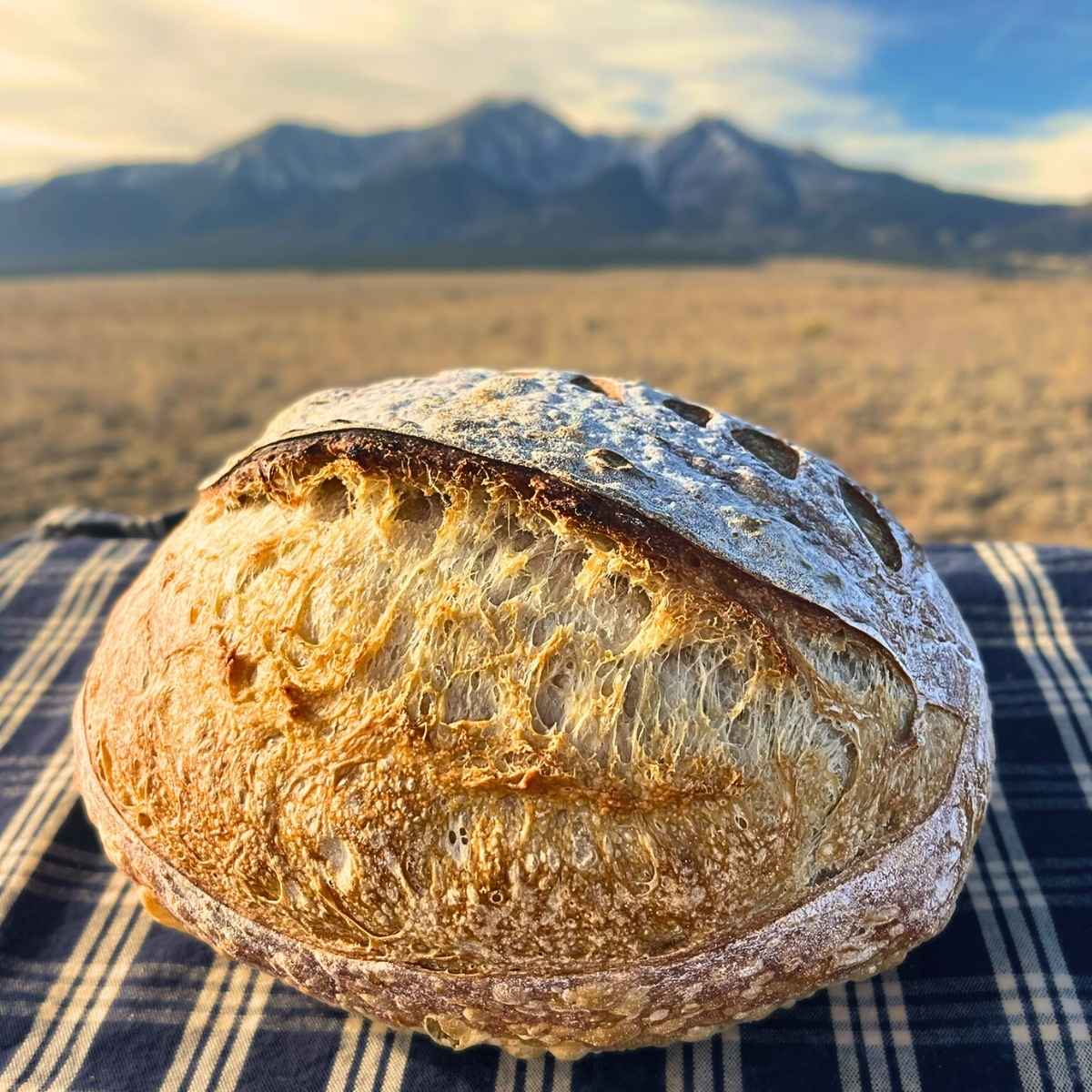 Easy High Altitude Sourdough Bread