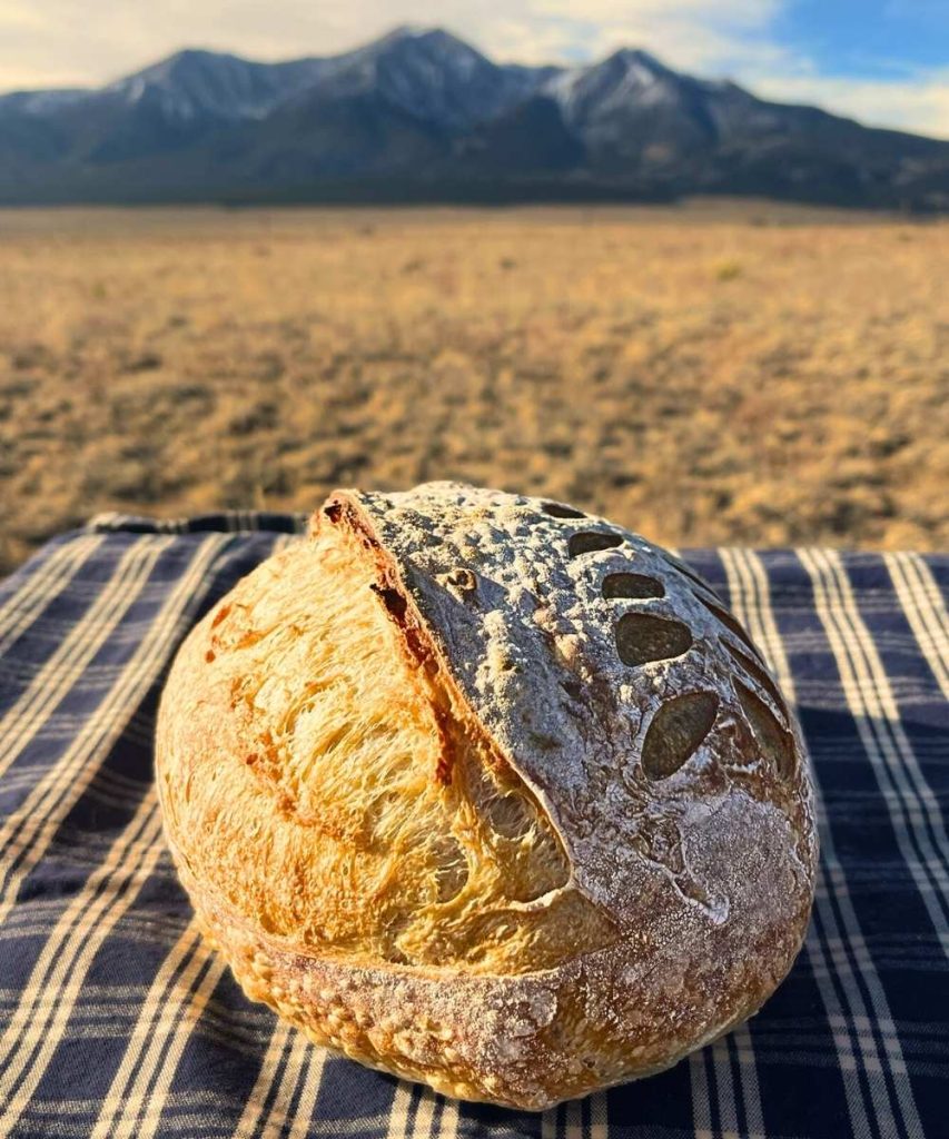 a loaf a high altitude sourdough bread on a blue and white tea towel in from of the Sangre de Cristo Mountains
