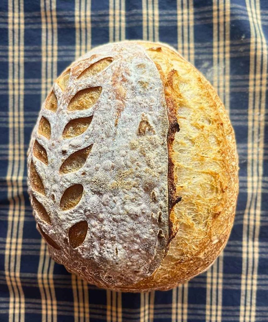 a loaf a high altitude sourdough bread on a blue and white tea towel