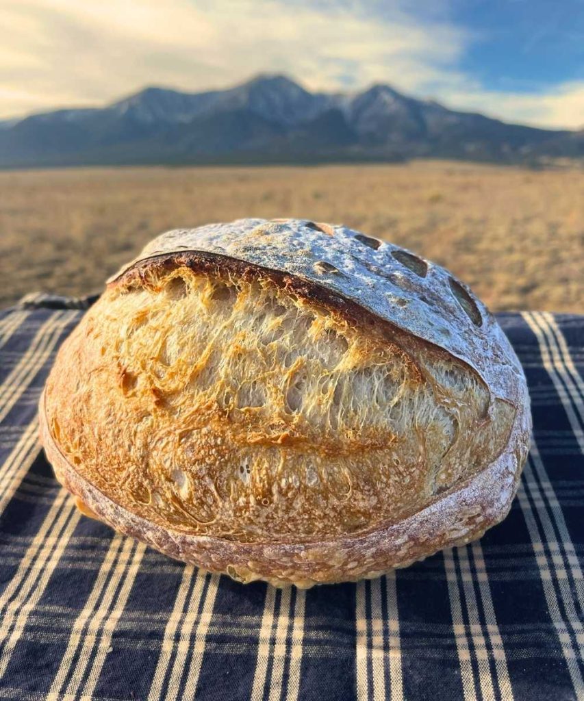 a loaf a high altitude sourdough bread on a blue and white tea towel in from of Mount Princeton Mountain
