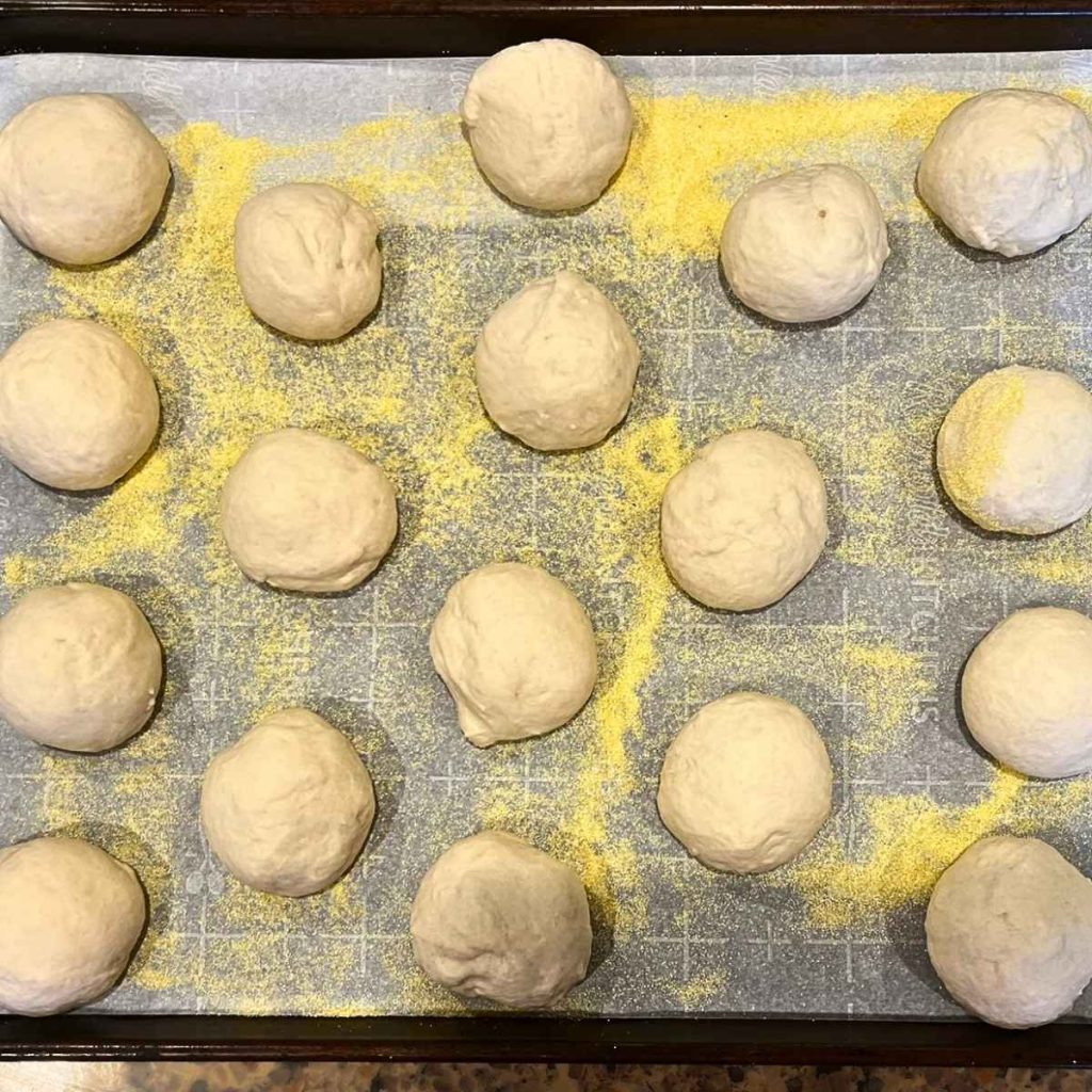 sourdough English muffin dough balls divided and placed in pan with cornmeal