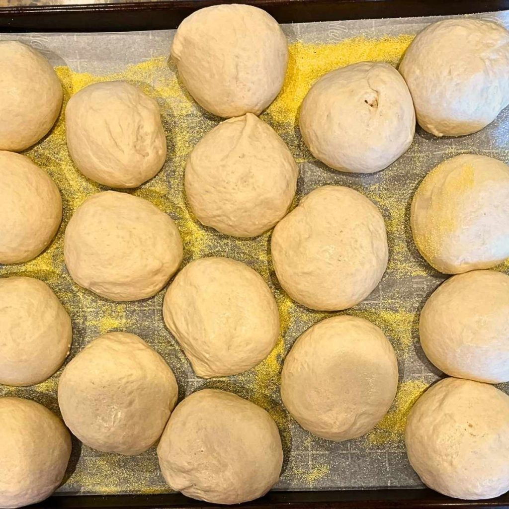 fully proofed sourdough English muffin dough balls ready to bake