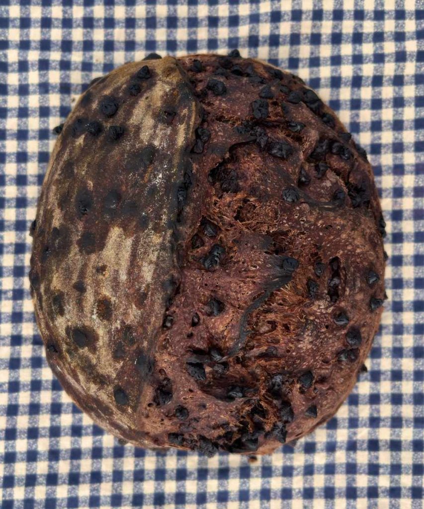 a loaf of dough chocolate sourdough bread on a blue and white checkered table clothe
